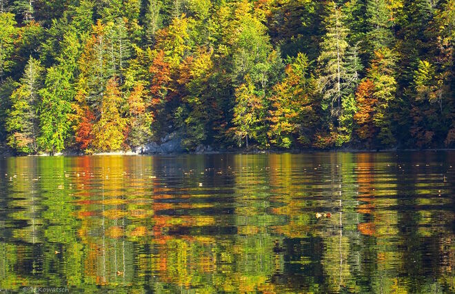 Malerische Spiegelung