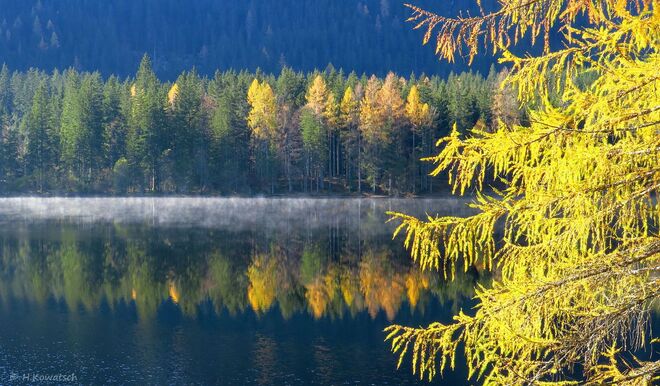 Ein sonniger Novembertag