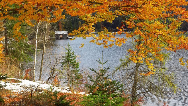 Herbst am See