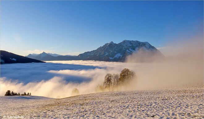 Novembernebel