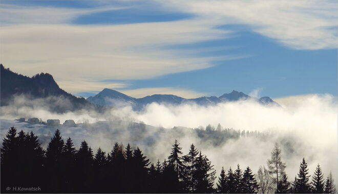 Nebelstimmung