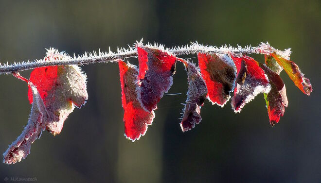 Herbst trifft Winter