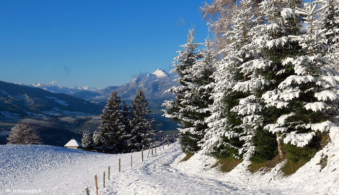 Stille Zeit im Advent