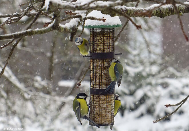 Reger Betrieb bei Schneetreiben