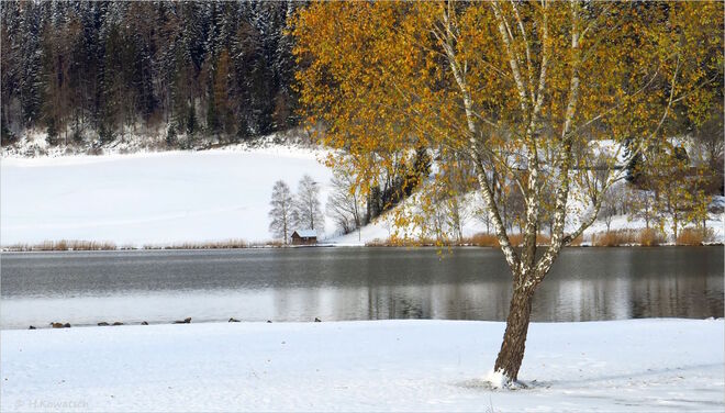 Plötzlich Winter