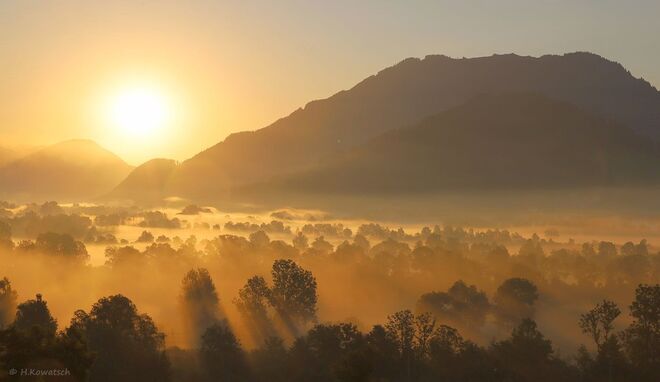 Morgenstund' hat Gold im Mund