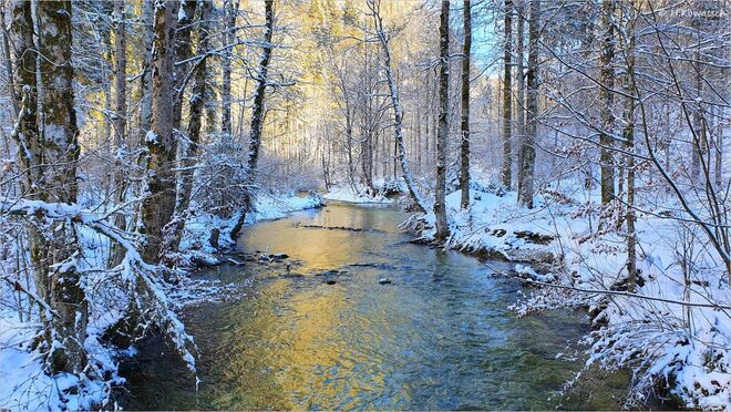 Goldene Winterstimmung