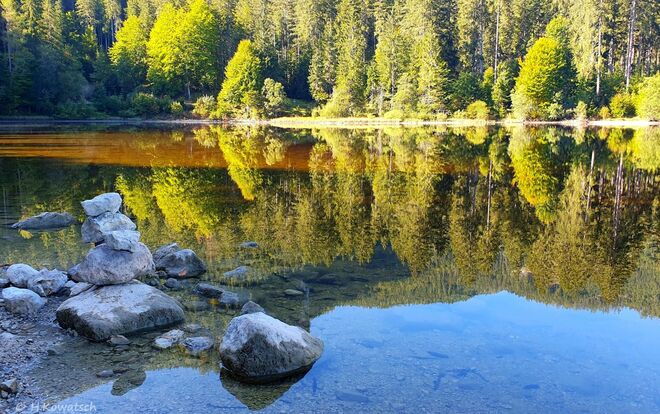Spaziergang um den See