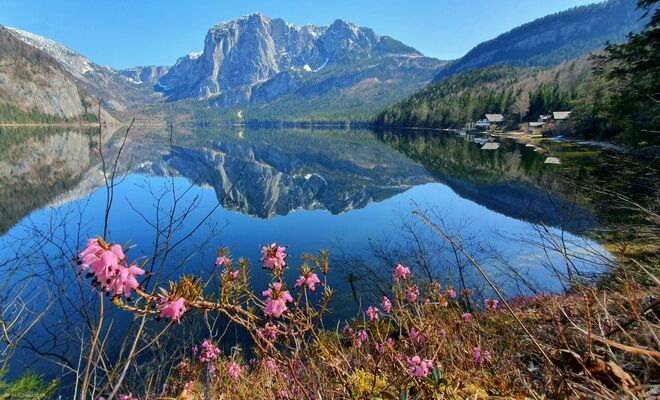 Frühling in Altaussee
