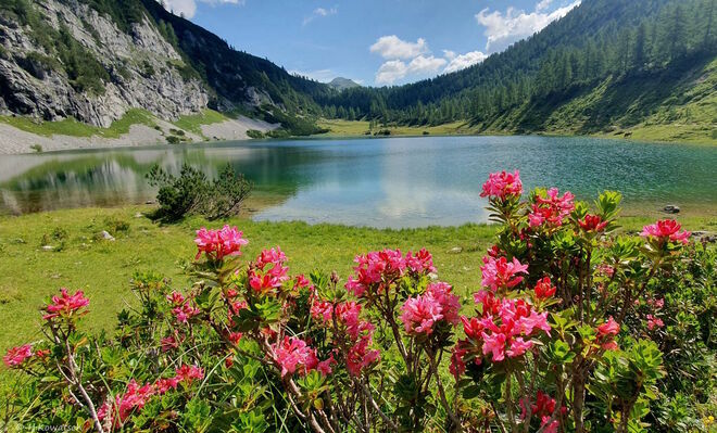 Bergsommer am Schwarzensee