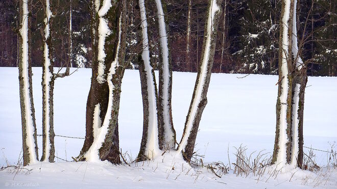 Nach dem Schneesturm