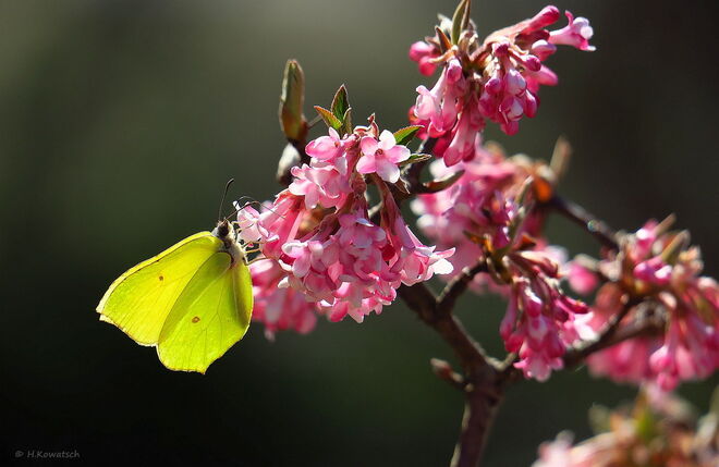 Der Frühling ist angekommen