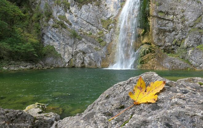 Der Herbst ist da