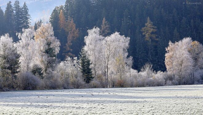 Herbstlicher Raureifzauber