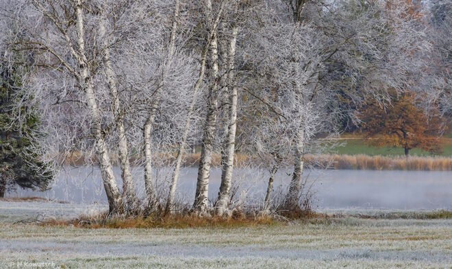 Ein Wintermärchen im Herbst