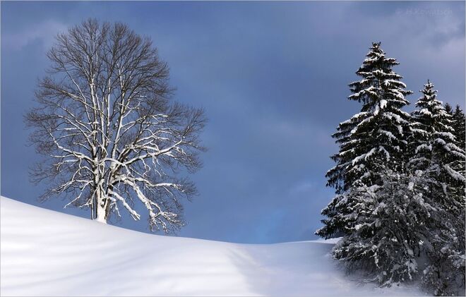 Nach dem Schneesturm