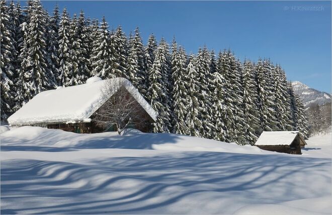 Ein Bilderbuchwintertag