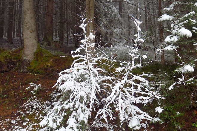 Der Winter gibt sich noch nicht ganz geschlagen
