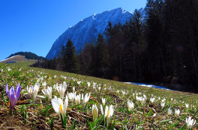 Frühlingsbeginn im Hinterbergertal
