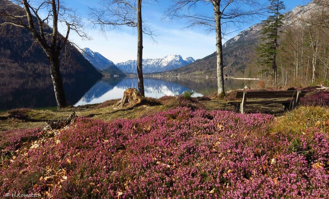 Bankerl mit Seeblick