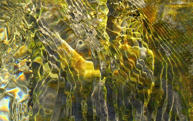 Ins Wasser g'schaut
