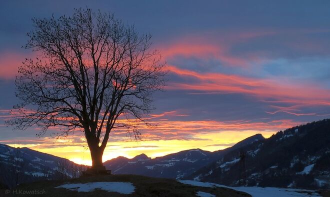 Abendstimmung im Ennstal