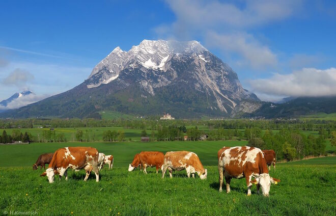 Ein friedlicher Morgen