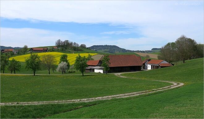 Landschaft im Innviertel