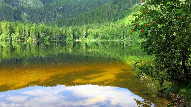 Ein Julimorgen am See