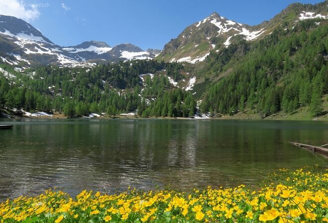 Blumen und Schnee am Duisitzkarsee