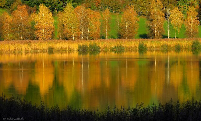 Goldener Oktober