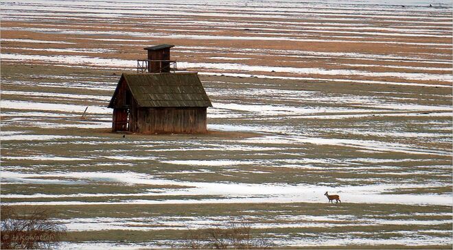 Gestreifte Landschaft