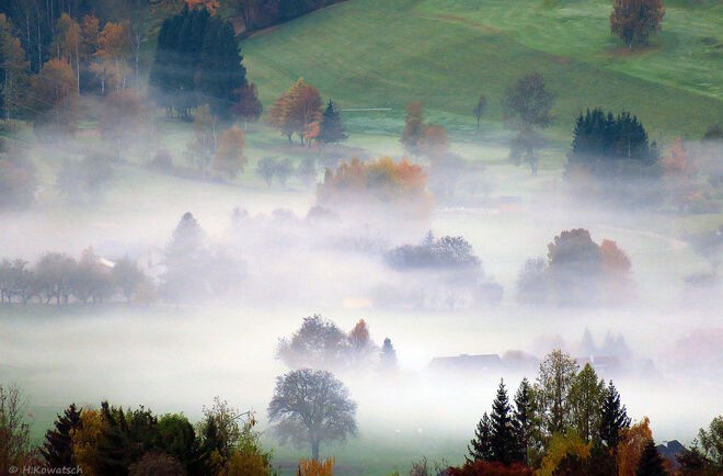 Nebel zieht ins Dorf