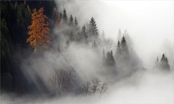 An der Nebelgrenze