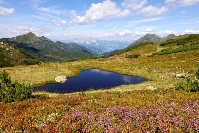 Wandern in der Heimat II