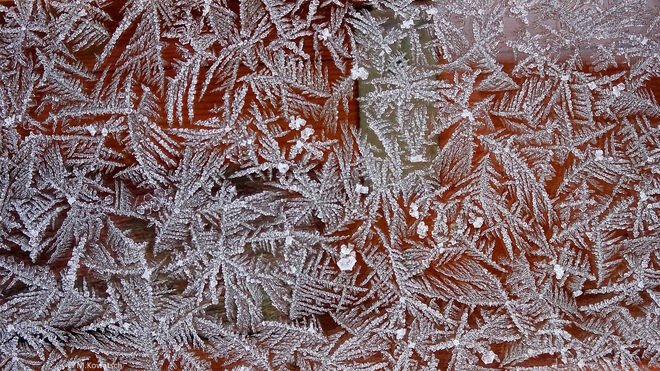 Eisblumenfenster
