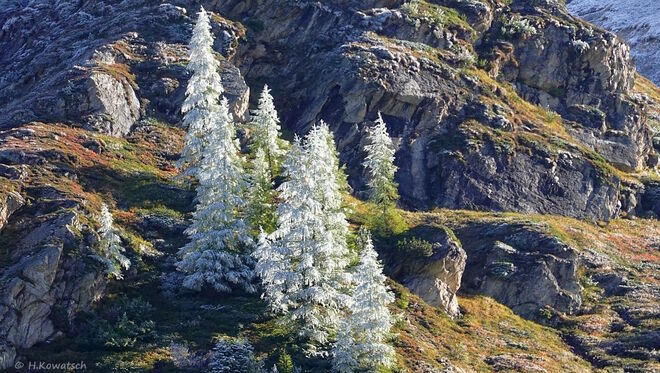 Farbpalette des Herbstes