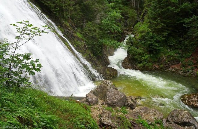 Reichlich Wasser
