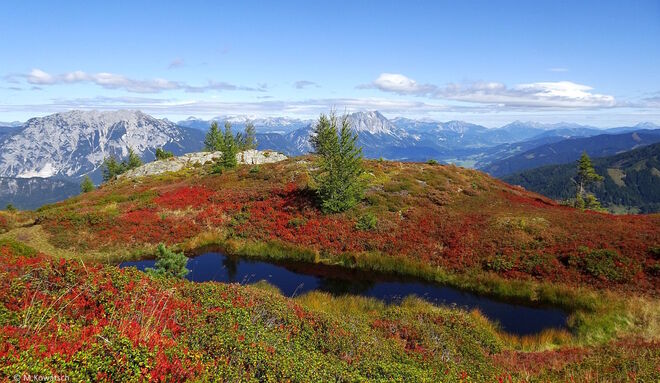 Herrlicher Ausblick