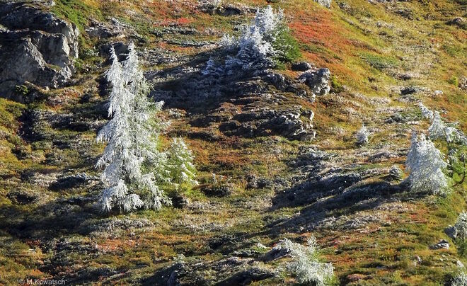 Herbst trifft Winter