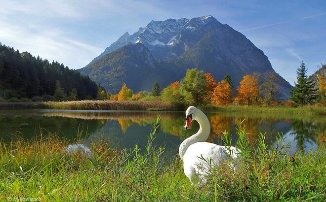 Ein schöner Herbsttag am Schlossteich