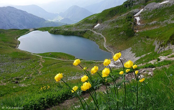 Das gar nicht so "Tote Gebirge"