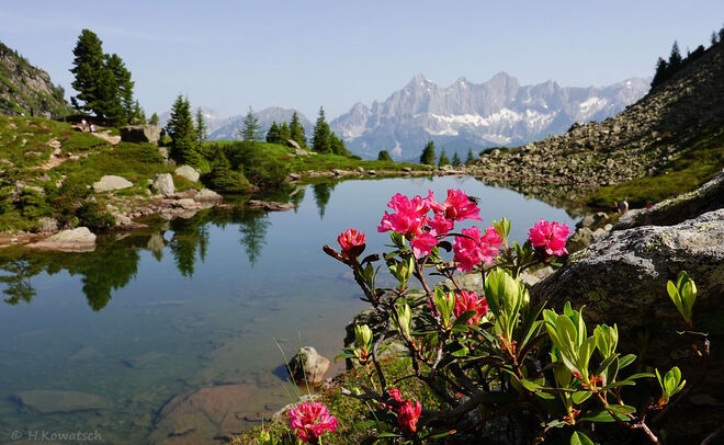 Bergsommer am Spiegelsee