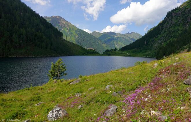 Schatten und Licht am Riesachsee