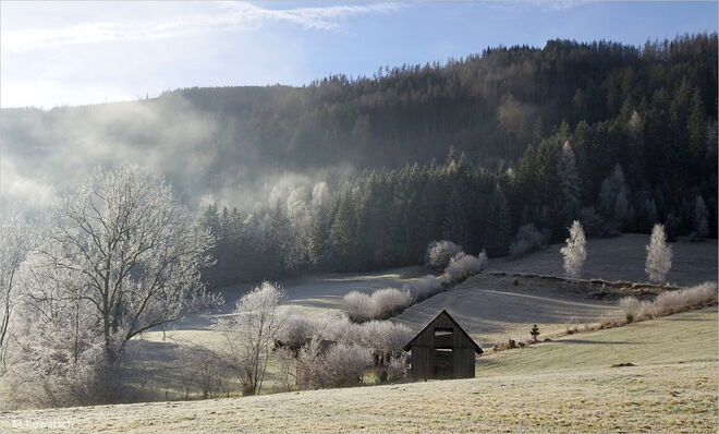 Raureifstimmung