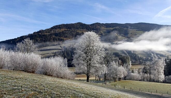 Raureifzauber