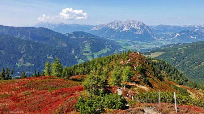 Die Natur hat für uns den roten Teppich ausgerollt