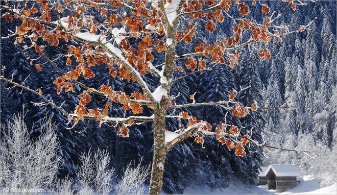 Winterimpression