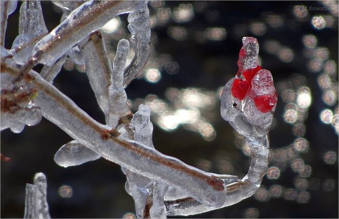 Eiszeit