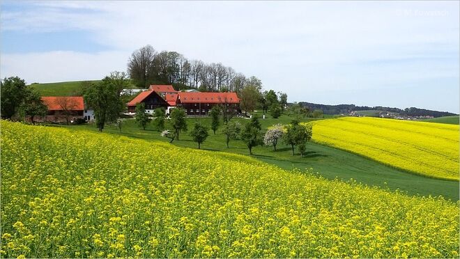Ein stattlicher Innviertler Bauerhof